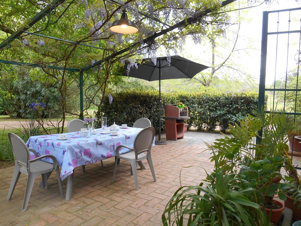 Fioralice Guest House Fauglia Luaran gambar
